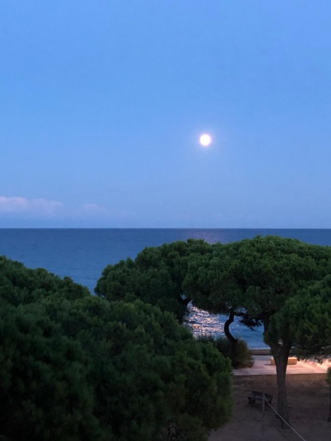 Apartment Direkt Am Strand Blanes Bagian luar foto